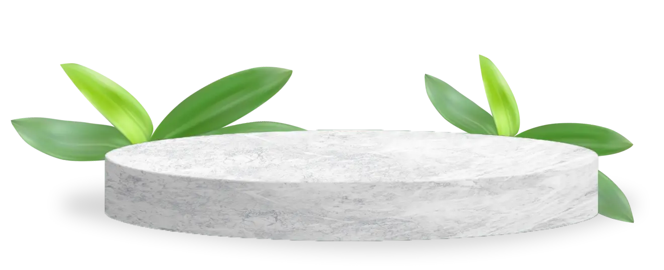 stone image